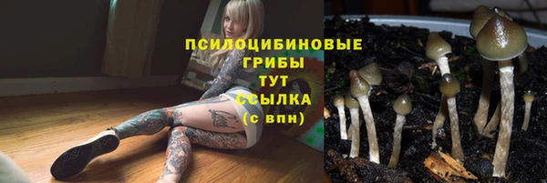 ALPHA PVP Баксан